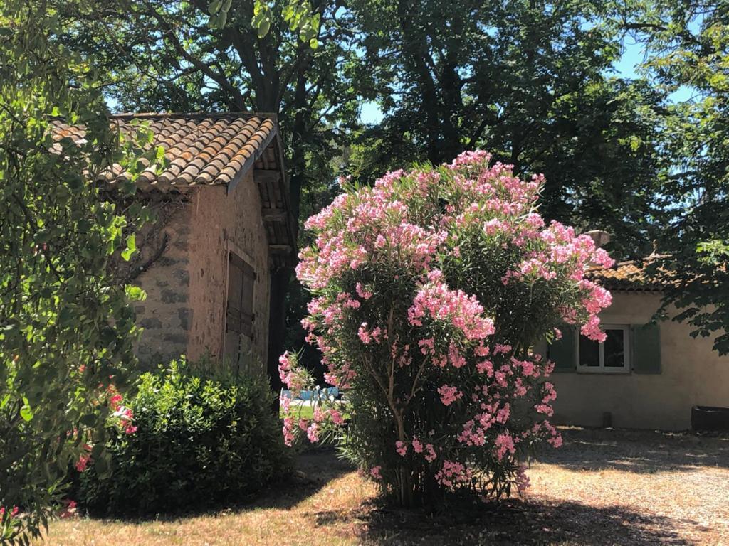 Le Nid Des Corbieres Bed & Breakfast Bizanet Ngoại thất bức ảnh